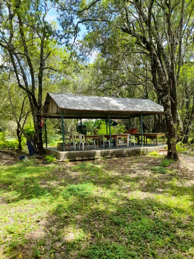 Leruk Maasai Mara Camp Hotel Sekenani Luaran gambar