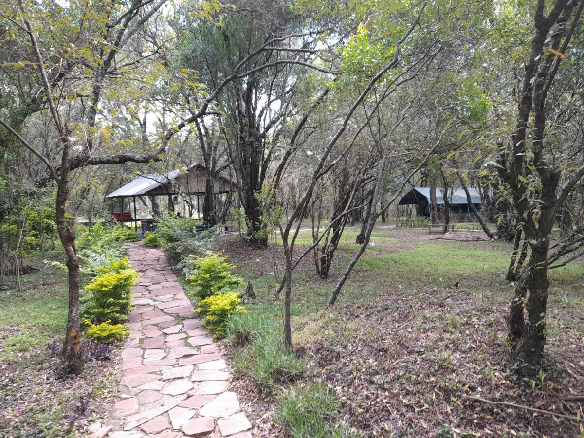 Leruk Maasai Mara Camp Hotel Sekenani Luaran gambar