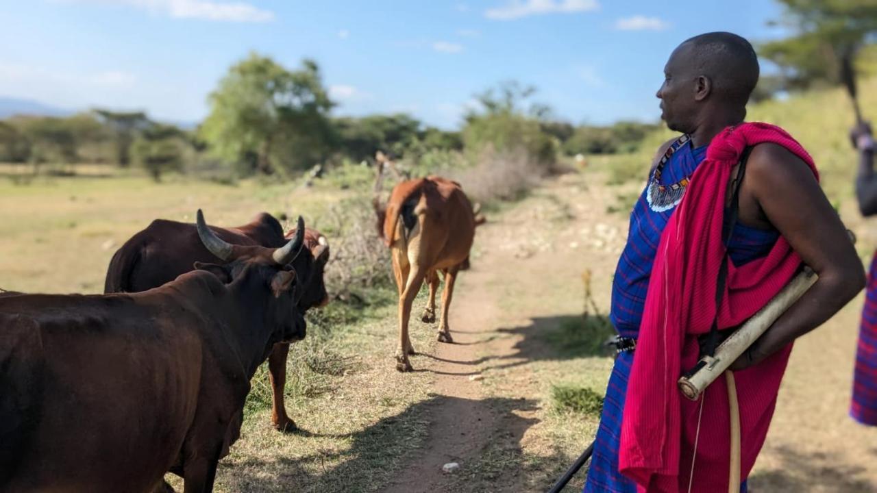 Leruk Maasai Mara Camp Hotel Sekenani Luaran gambar